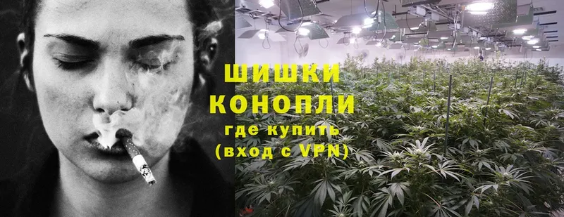 ссылка на мегу маркетплейс  Жуков  МАРИХУАНА SATIVA & INDICA 